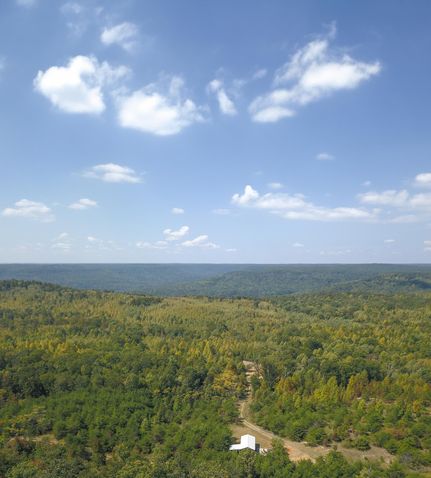 Timberland Property in Marion County, Tennessee