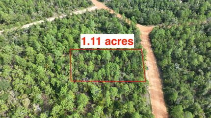 Undeveloped Land in Jackson County, Florida
