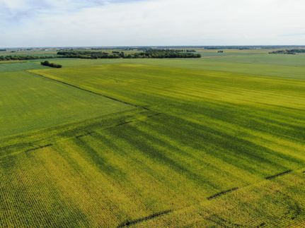 Farm and Ranch in Champaign County, Illinois
