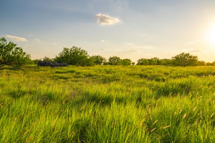Timberland Property in Starr County, Texas