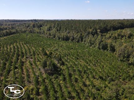 Farm and Ranch in Choctaw County, Alabama