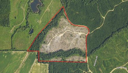 Land for sale in Chickasaw County, Mississippi