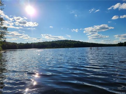 Farm and Ranch in Sullivan County, New York