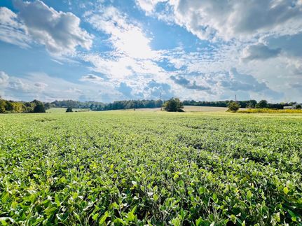 Commercial Property in Grayson County, Kentucky