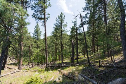Land in Pennington County, South Dakota