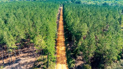 Recreational Property in Holmes County, Florida