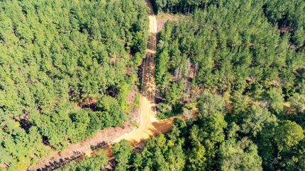 Timberland Property in Holmes County, Florida