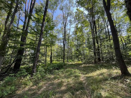 Undeveloped Land in Cattaraugus County, New York
