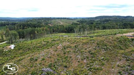 Undeveloped Land in Marion County, Alabama