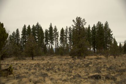 Undeveloped Land in Klamath County, Oregon