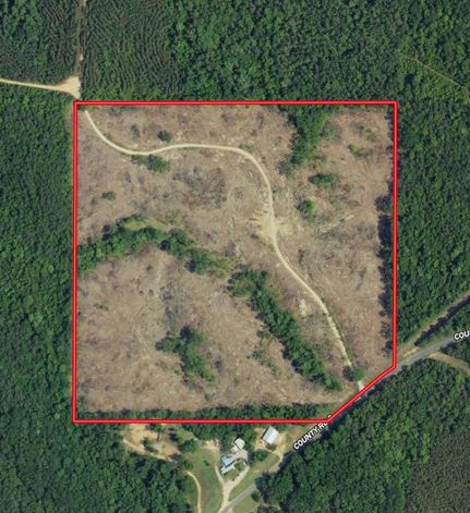 Timberland Property in Marion County, Alabama