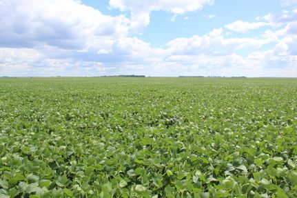 Land in Burleigh County, North Dakota