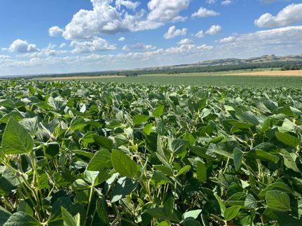Land in McLean County, North Dakota