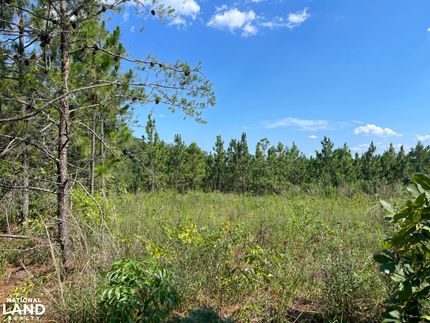 Land in Tuscaloosa County, Alabama