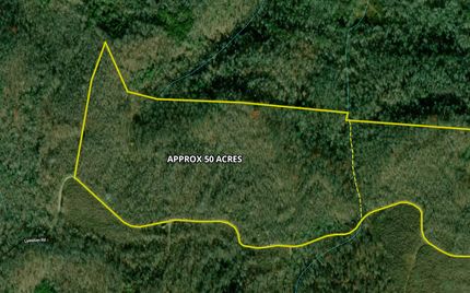 Timberland Property in Scott County, Tennessee