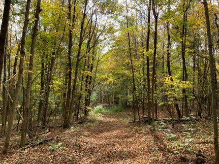 Recreational Property in Madison County, New York