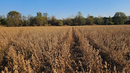 Farm and Ranch in Sunflower County, Mississippi