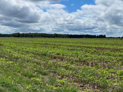 Horse Property for sale in Escambia County, Florida