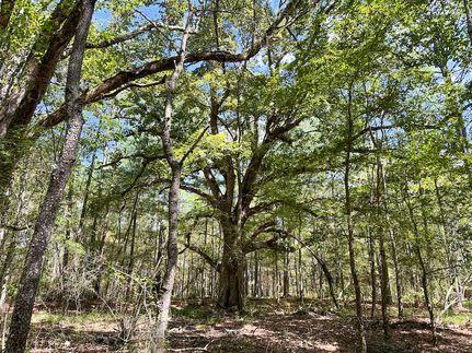 Recreational Property in Attala County, Mississippi