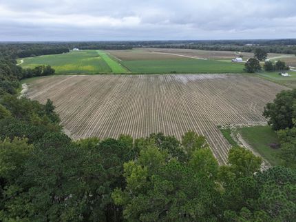Undeveloped Land in Wilson County, North Carolina