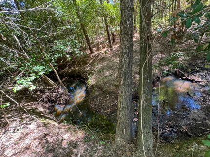 Land for sale in Cass County, Texas