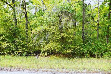 Undeveloped Land in Mille Lacs County, Minnesota