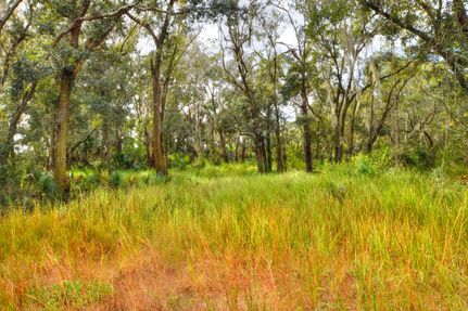 Undeveloped Land for sale in Hillsborough County, Florida