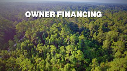 Undeveloped Land in Putnam County, Florida