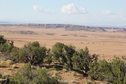 Horse Property in Apache County, Arizona