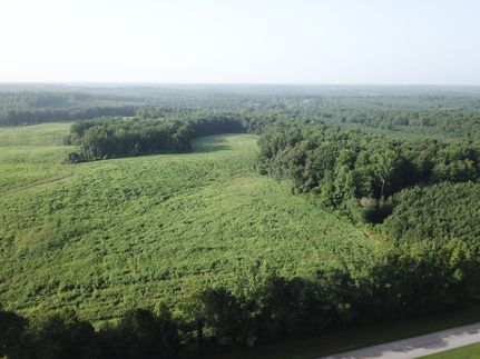 Undeveloped Land in Heard County, Georgia