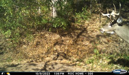 Farm and Ranch in Henry County, Iowa