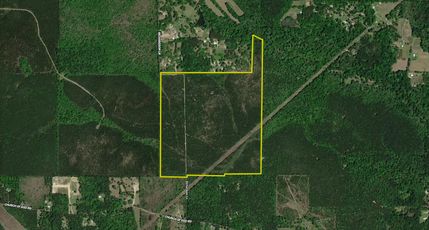 Recreational Property in Livingston Parish, Louisiana