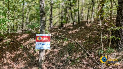 Farm and Ranch in Ashley County, Arkansas