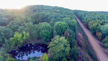 Homesite in Madison County, Arkansas