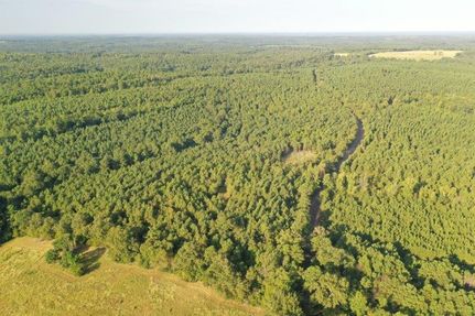 Land for sale in Cass County, Texas