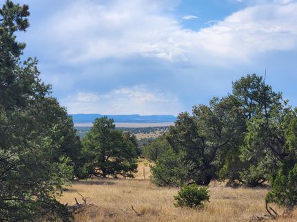 Recreational Property for sale in Catron County, New Mexico