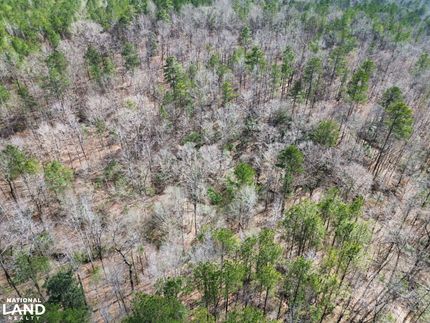 Hunting Property in Choctaw County, Alabama