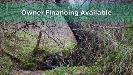 Timberland Property in Ashe County, North Carolina