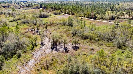 Undeveloped Land in Holmes County, Florida