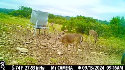 Farm and Ranch in Kerr County, Texas