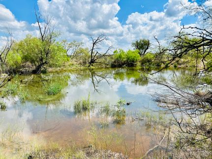 Undeveloped Land in Eastland County, Texas