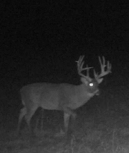 Farm and Ranch in Mille Lacs County, Minnesota