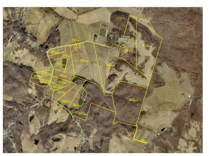 Timberland Property in Daviess County, Kentucky