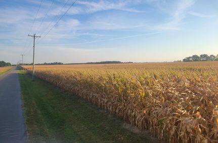 Timberland Property in Union County, Indiana