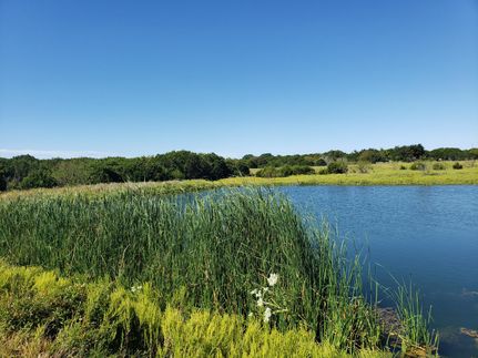 Undeveloped Land in Lampasas County, Texas