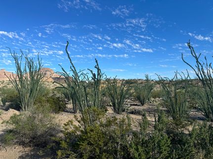 Farm and Ranch in Brewster County, Texas