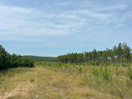 Land in Buckingham County, Virginia