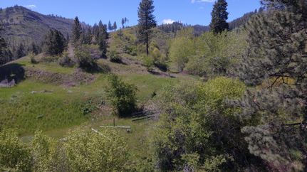 Undeveloped Land in Idaho County, Idaho