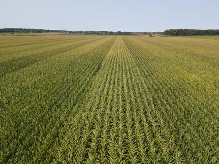 Undeveloped Land in Porter County, Indiana
