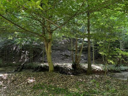 Farm and Ranch in Gallia County, Ohio